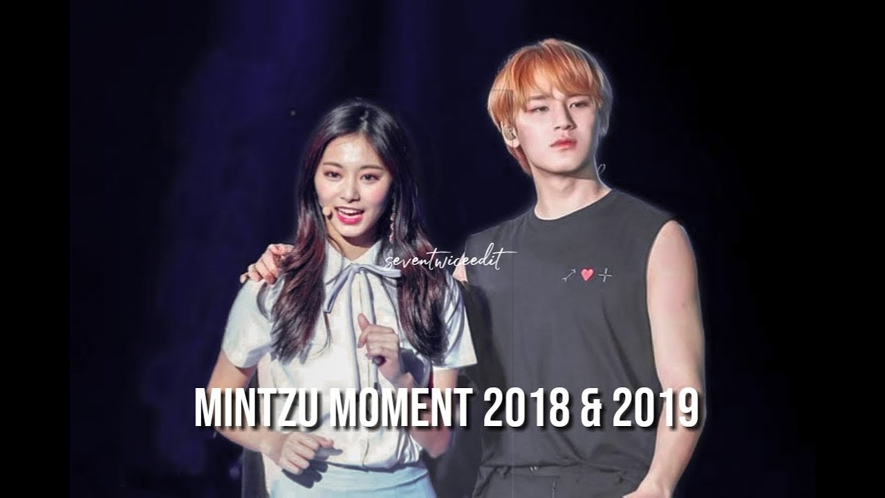 SEVENTEEN Mingyu & TWICE Tzuyu MOMENT in 2018 & 2019