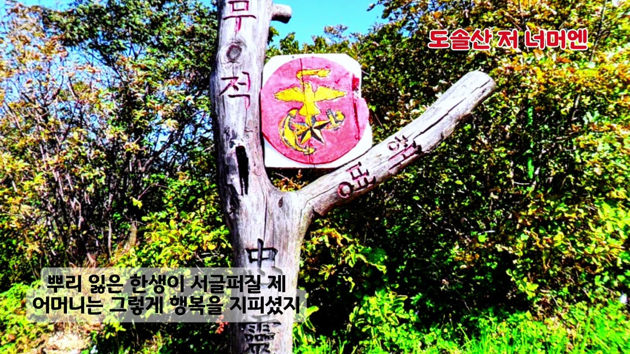 ■장성현가곡교실 [3008] 도솔산 저 너머엔 ♡한여선 시/최영섭 작곡 