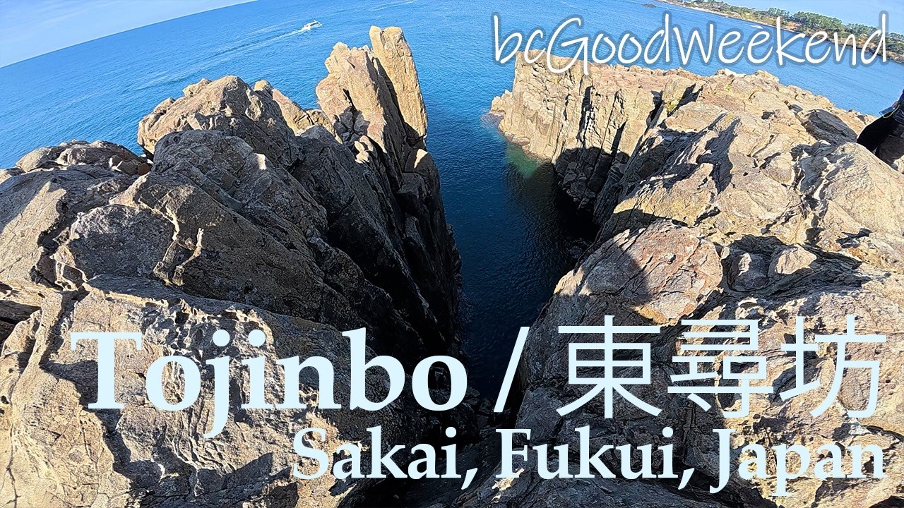 [Little Scenery] Tojinbo / November 2025 / Sakai City, Fukui Pref., Japan