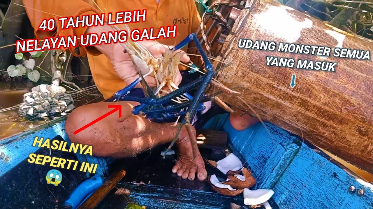 BUBU UDANG GALAH
