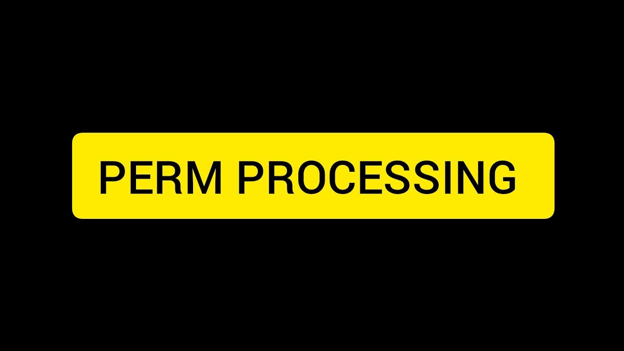 PERM PROCESSING/EB3 VS H1B VISA.