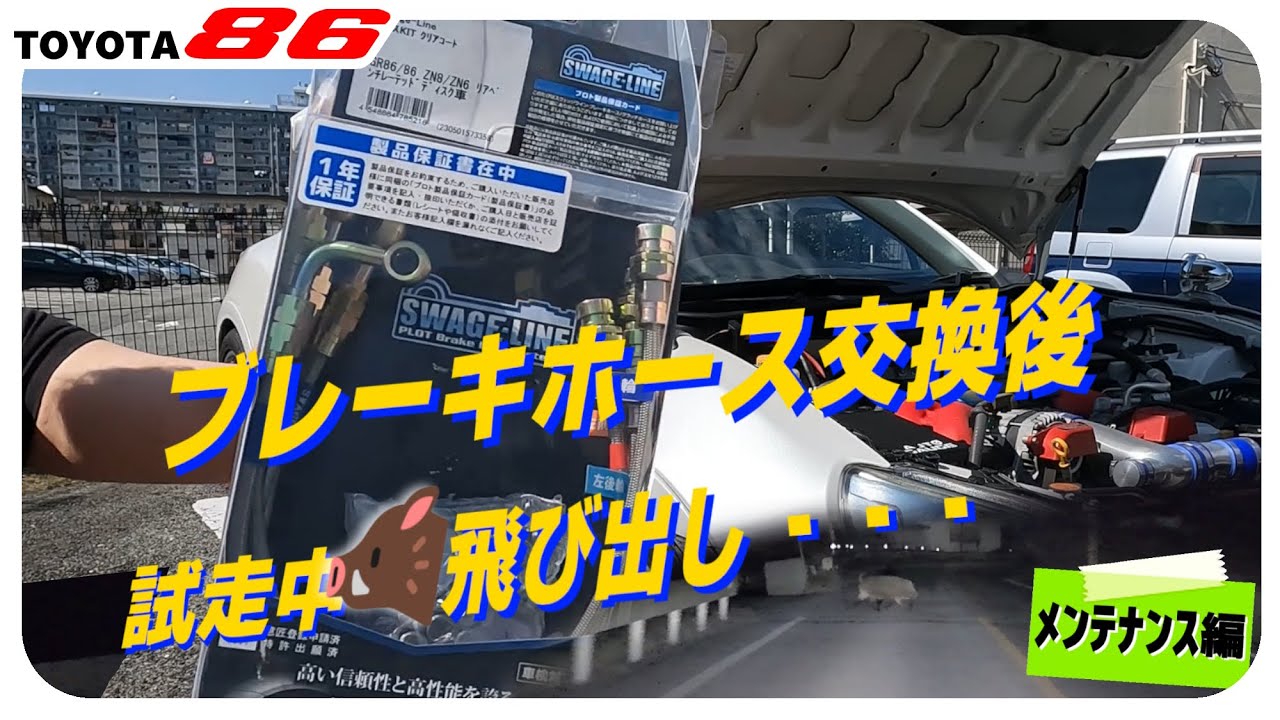【猪突猛進🐗】ステンレスブレーキホースに交換して走ったら伊之助と出会った！（ZN6、86、BRZ、SWAGE-LINE、スウェッジライン）