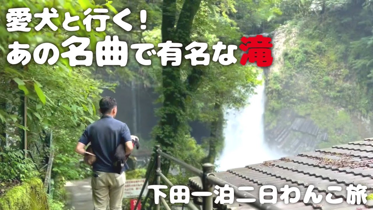 【犬連れ旅行静岡下田観光】浄蓮の滝はドッグフレンドリーだった!1泊2日わんこ旅3/3 2024.5