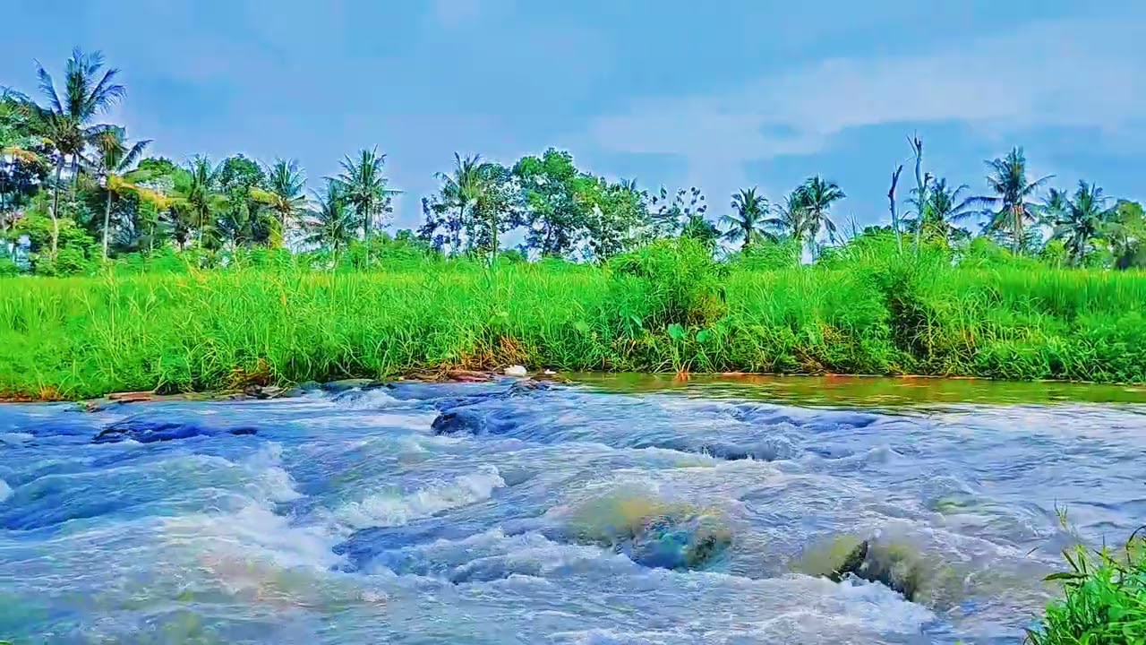 Relaxing River Sounds - Peaceful Forest River - 1 Hours Long - HD 1080p - Nature Video