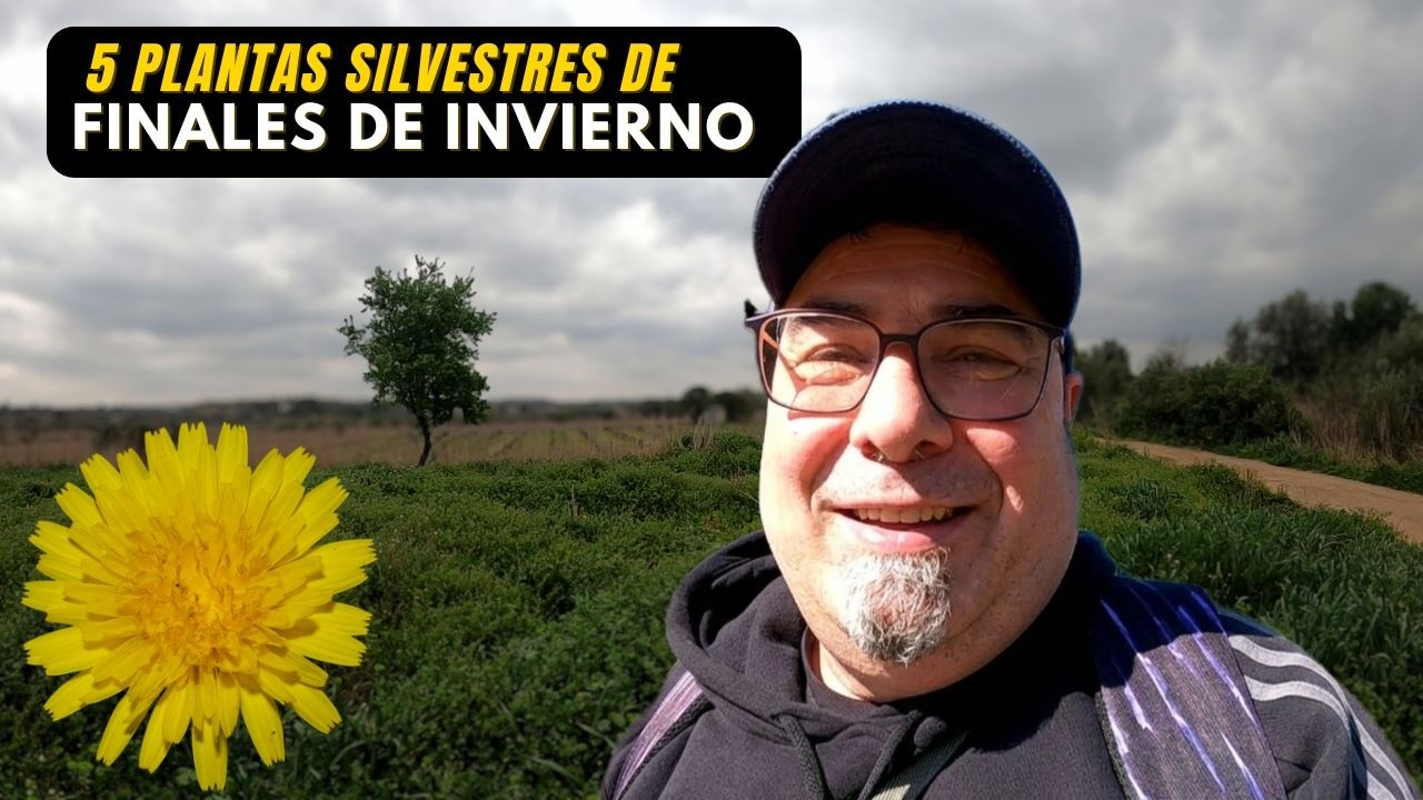 5 PLANTAS SILVESTRES DE FINALES DE INVIERNO