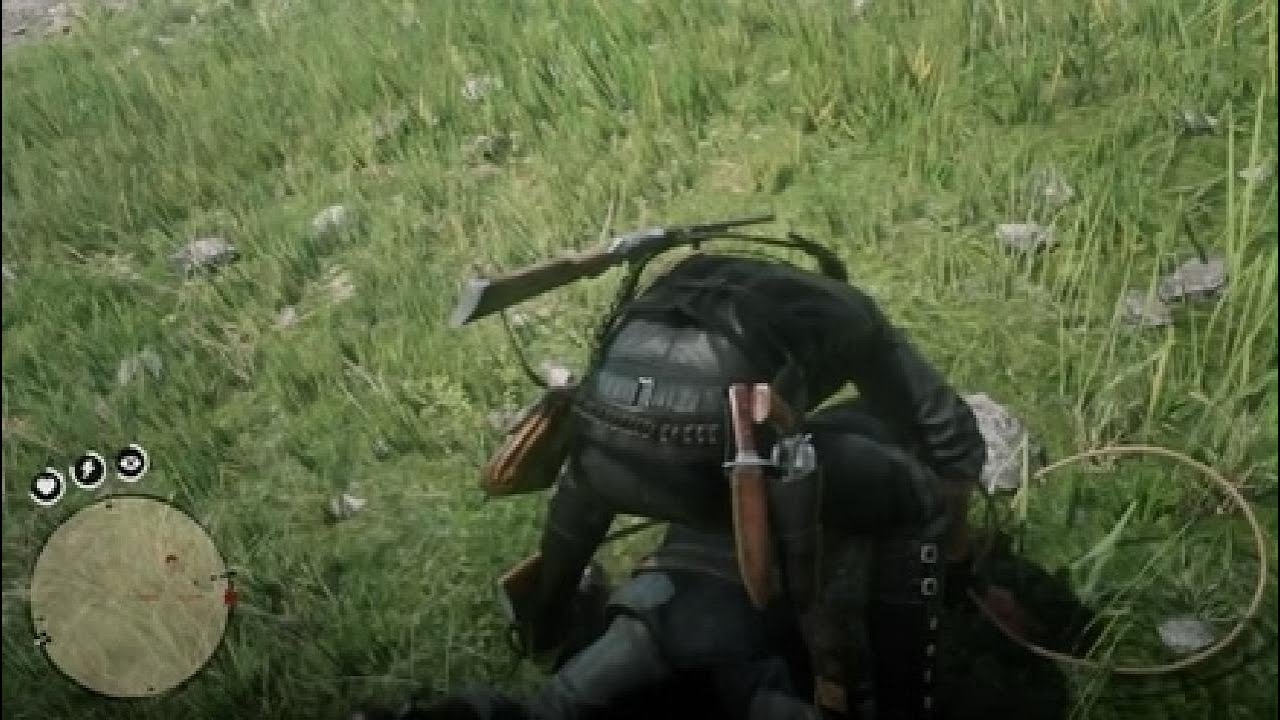 Red Dead Redemption 2_20260213150331