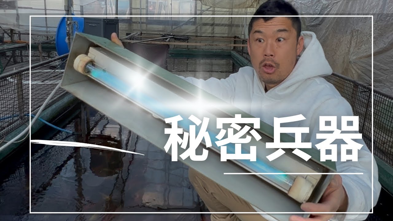 春に必要な器具