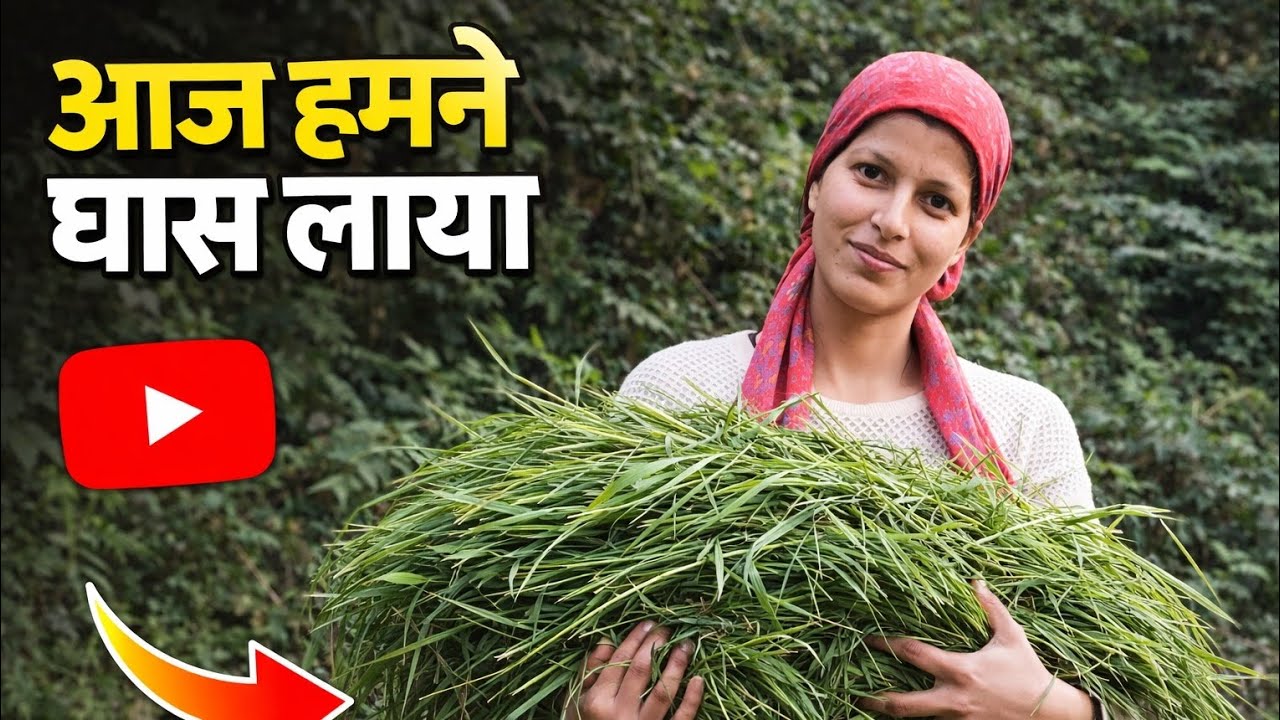 Aaj Humne Ghass Laaya 🌿 | Pahadi Life Daily Vlog | Village Routine