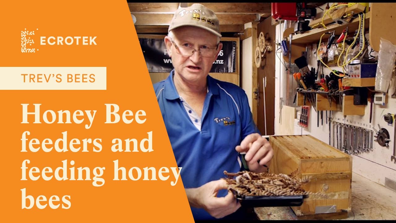 Trevs Bees - Honey Bee feeders and feeding honey bees.