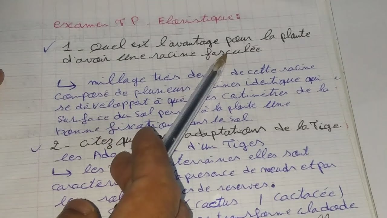 correction examen TP 2022 floristique svi s4