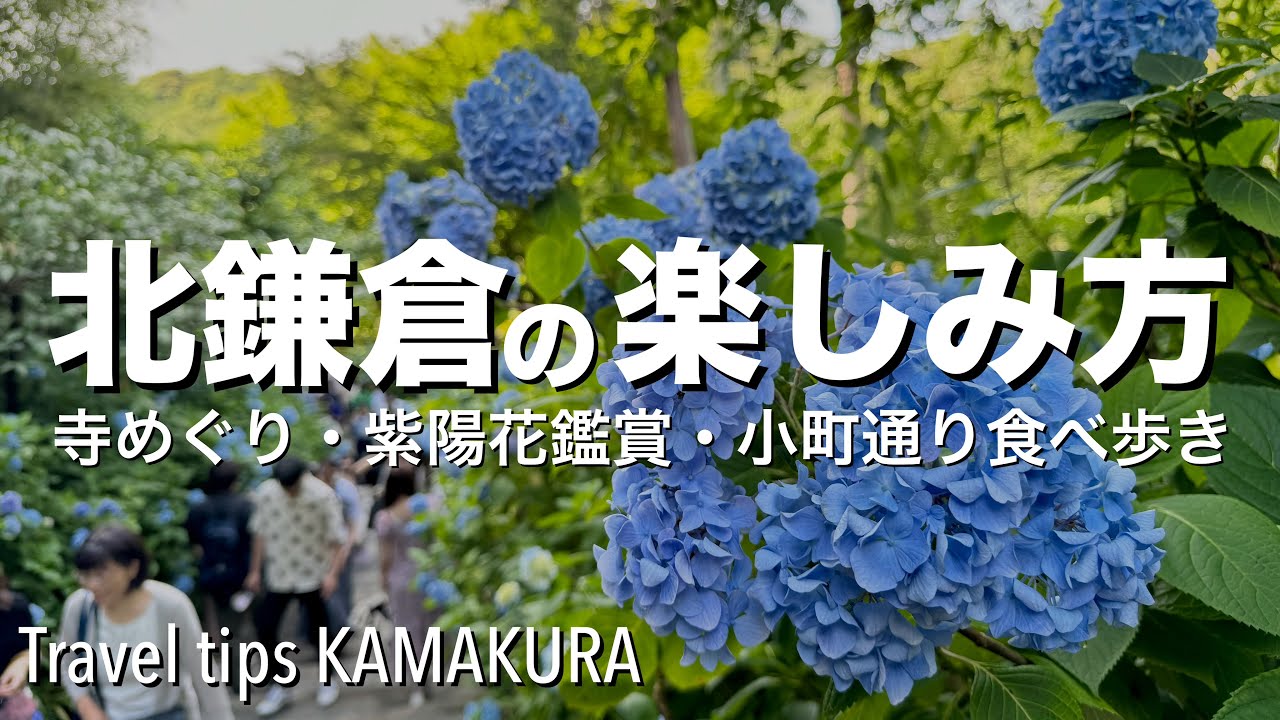 【北鎌倉の楽しみ方】明月院と紫陽花の名所をまわるお寺めぐり＆鎌倉小町通り食べ歩きetc. 風情あふれる北鎌倉と鎌倉駅周辺の穴場観光スポットをご紹介[4K]