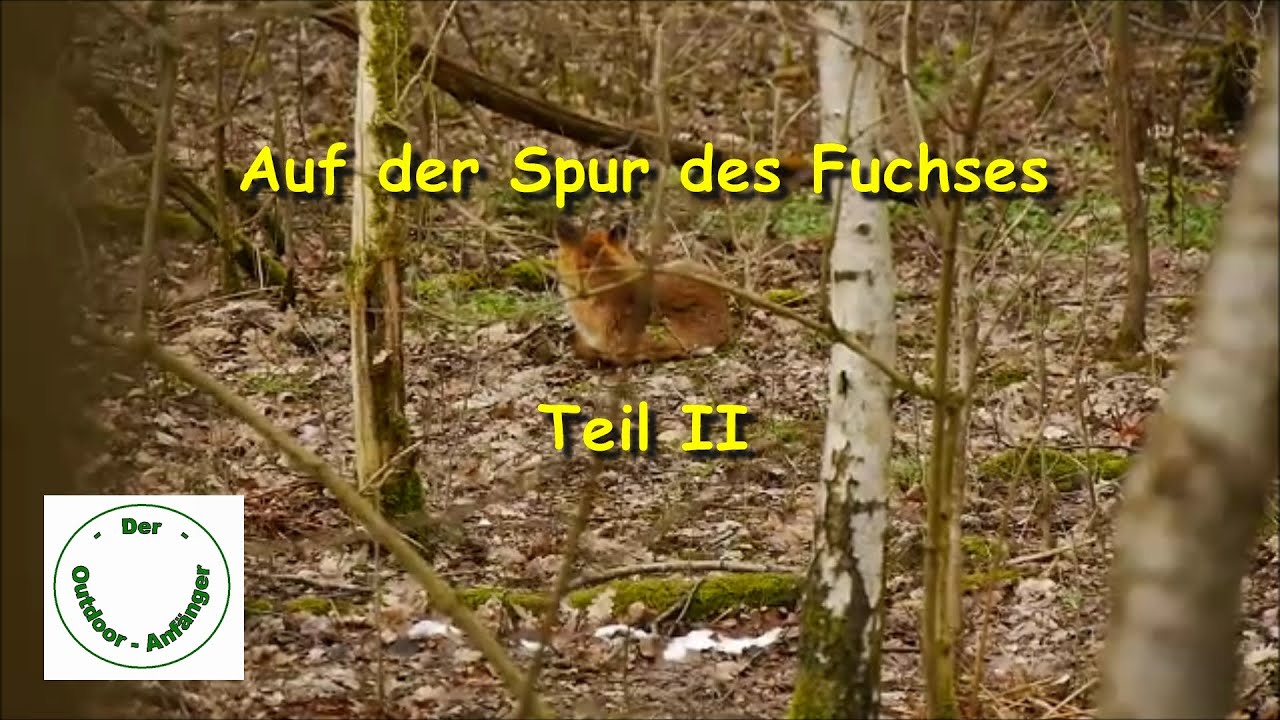 Tiere # 2: Auf der Spur des Fuchses - Teil II  Der Fuchsbau