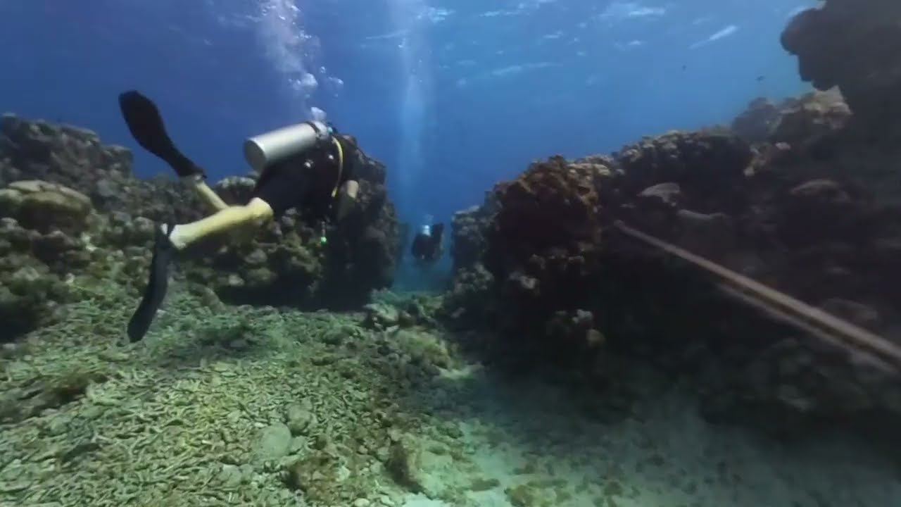 DD6 Grand Cayman Devils Grotto 2