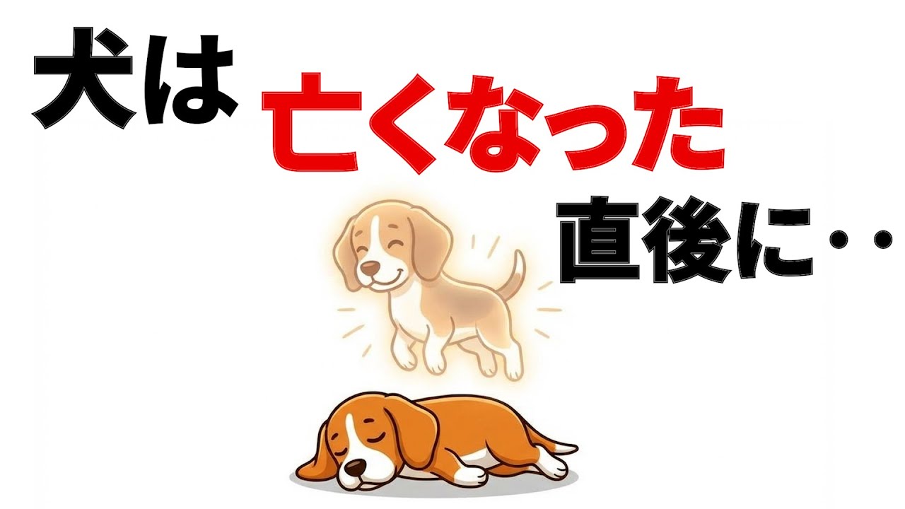 【涙腺崩壊】犬は亡くなった直後に‥