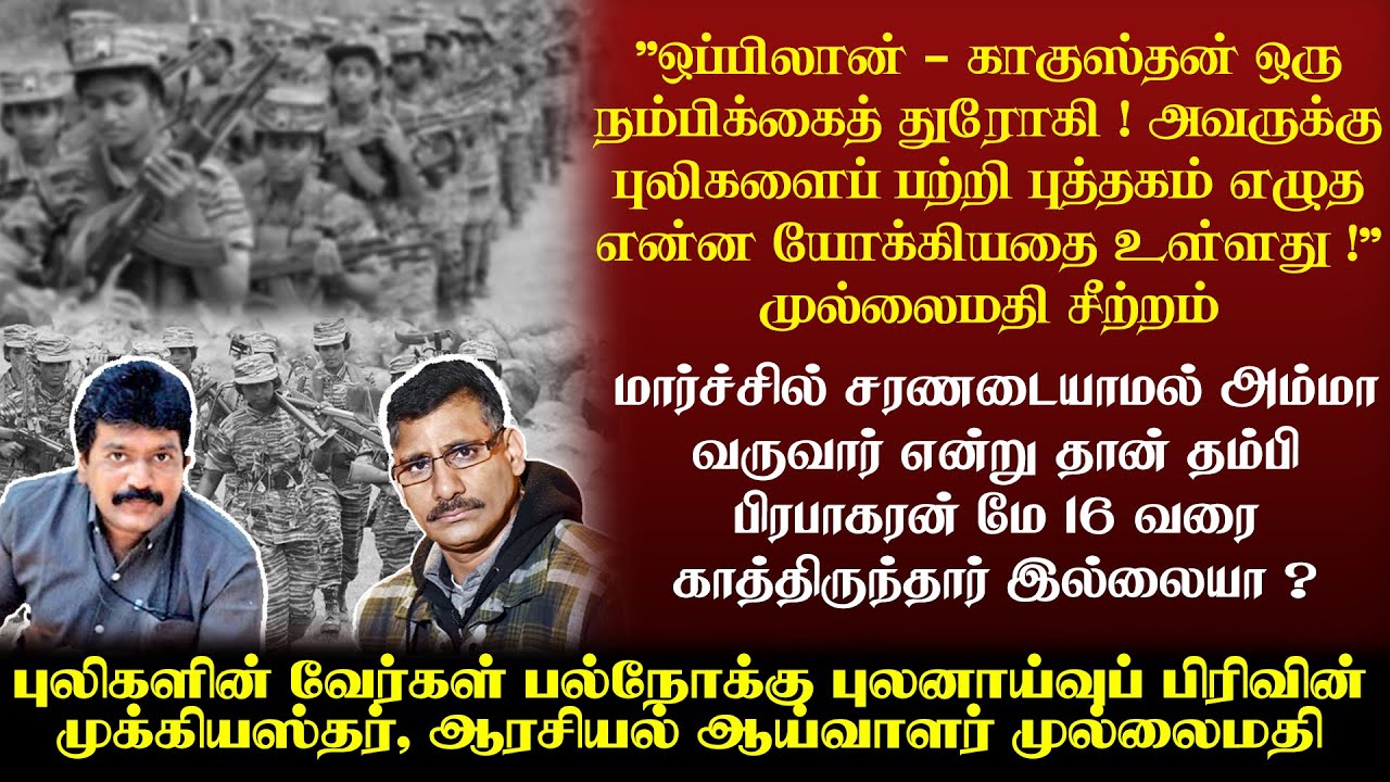 புலிகள் சுத்தமான சுவாமிப்பிள்ளைகள் என்றால் ஏன் இந்தியா புலிகளை பழிவாங்கத் துடித்தது ?