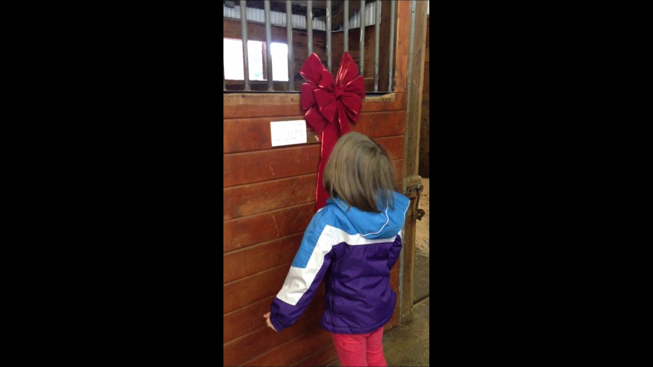 A Pony for Christmas! Such a Sweet Reaction!