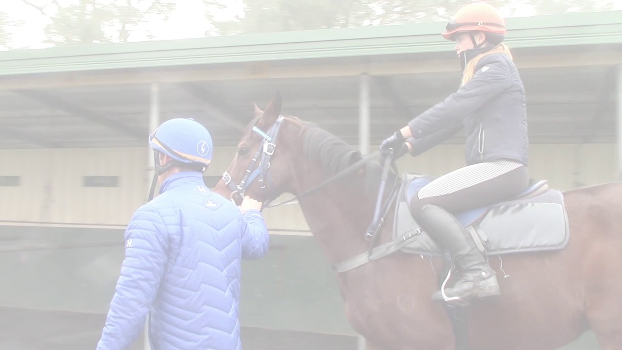 Certificate III in Racing (Trackrider) | Australian Racing and Equine Academy