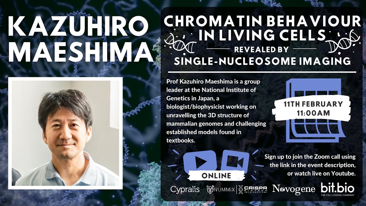 Prof Kazuhiro Maeshima - Chromatin behaviour in living cells revealed by single-nucleosome imaging