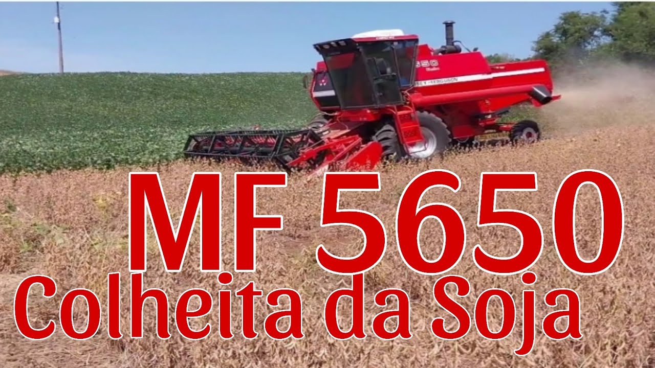 Colheita da Soja ☆Safra 2024☆MF 5650
