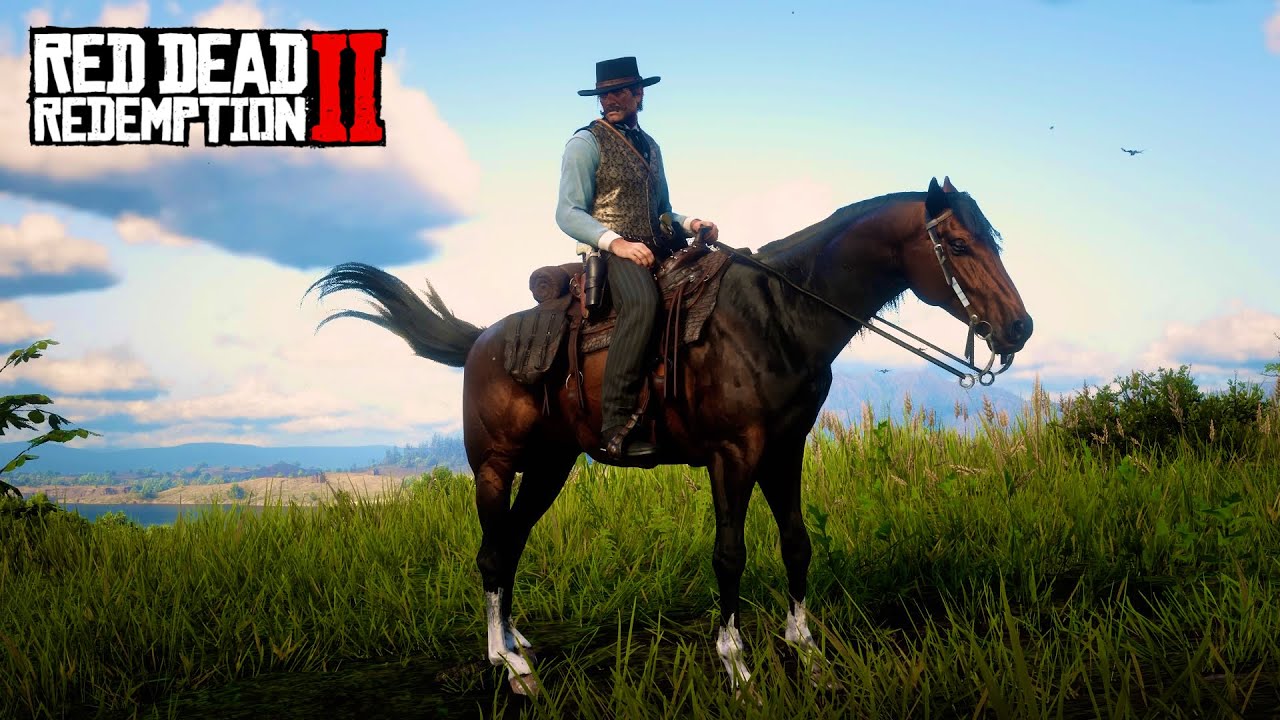 【RDR2】ブレイスウェイト家のトルコマン黒鹿毛を手に入れる方法【レッドデッドリデンプション2】