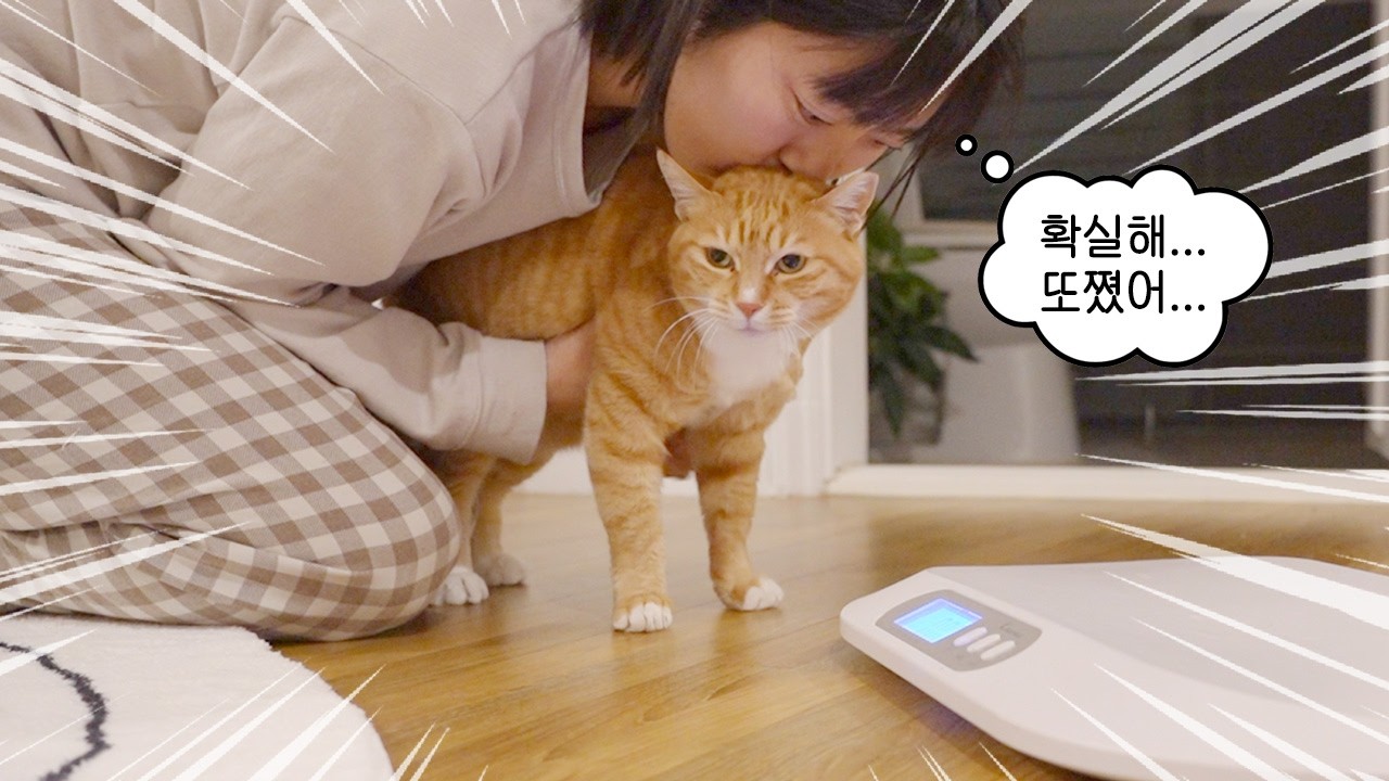 또 얼마나 쪘을지... 두렵지만.. 재보았더니....