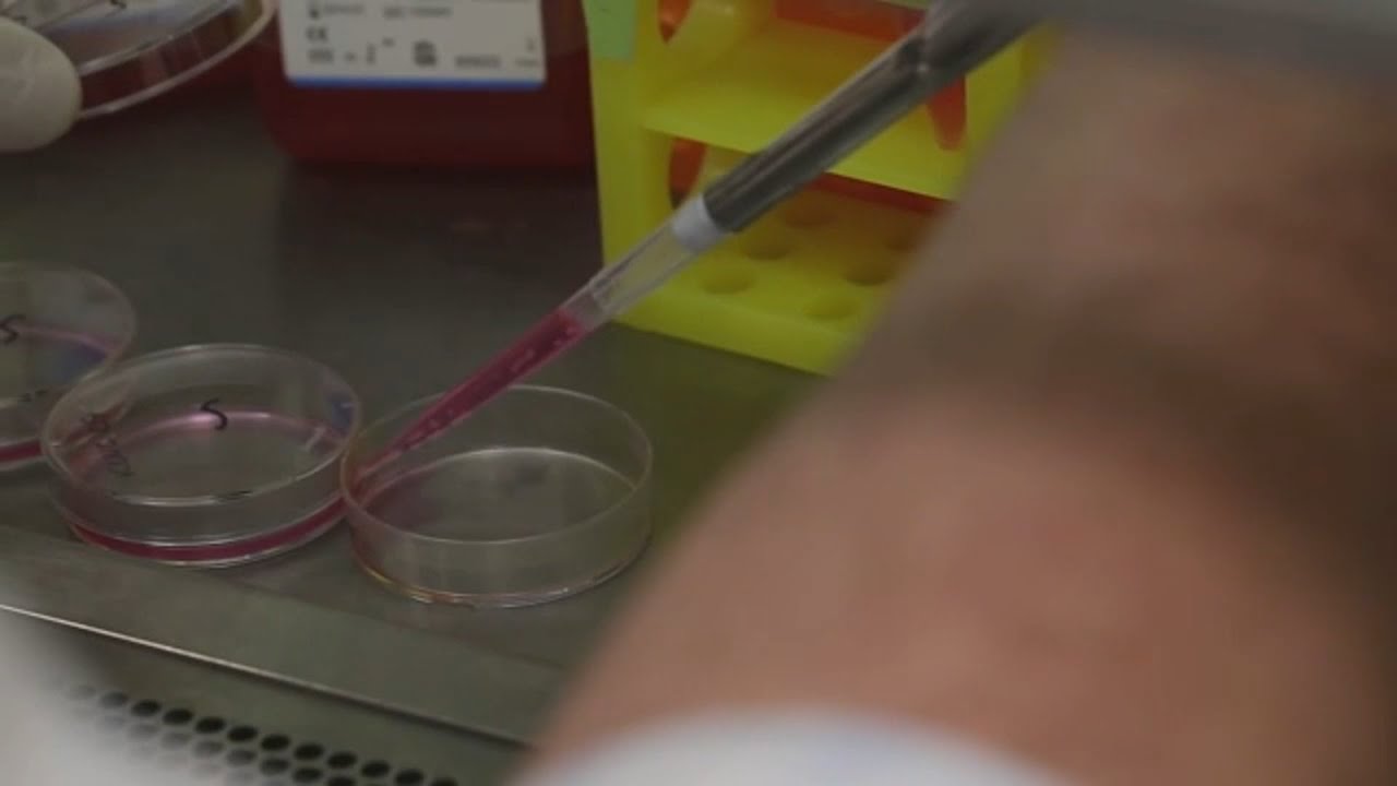 Medical research in NC would be affected by NIH funding cuts, Duke says