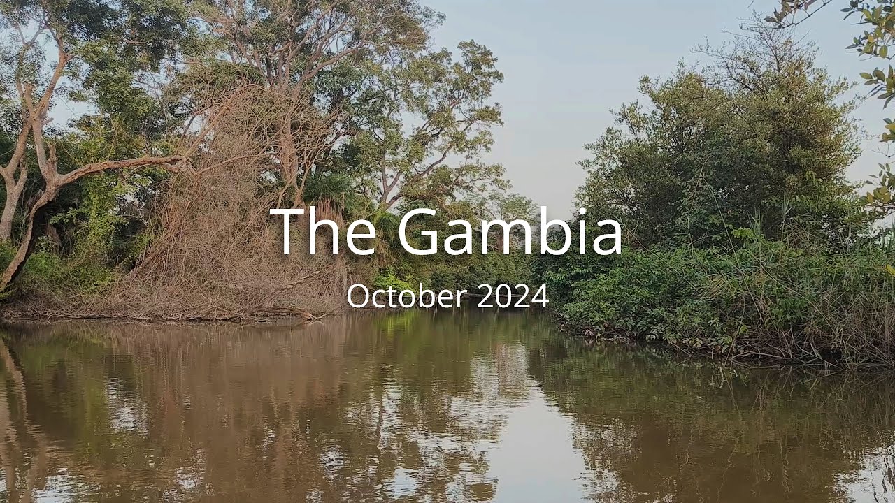 Bird Photography Trip in The Gambia