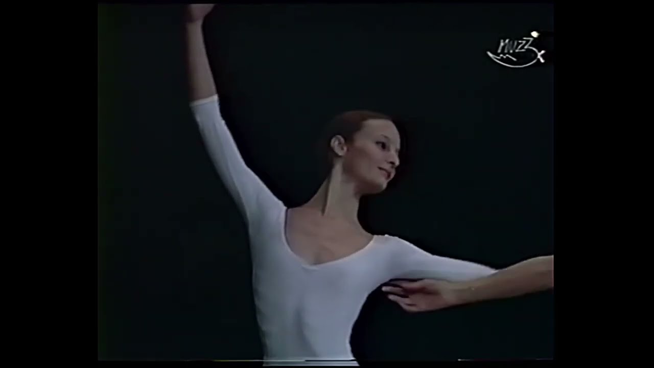 Soir de Fête (Passeport pour la Danse) - Paris Opera Ballet