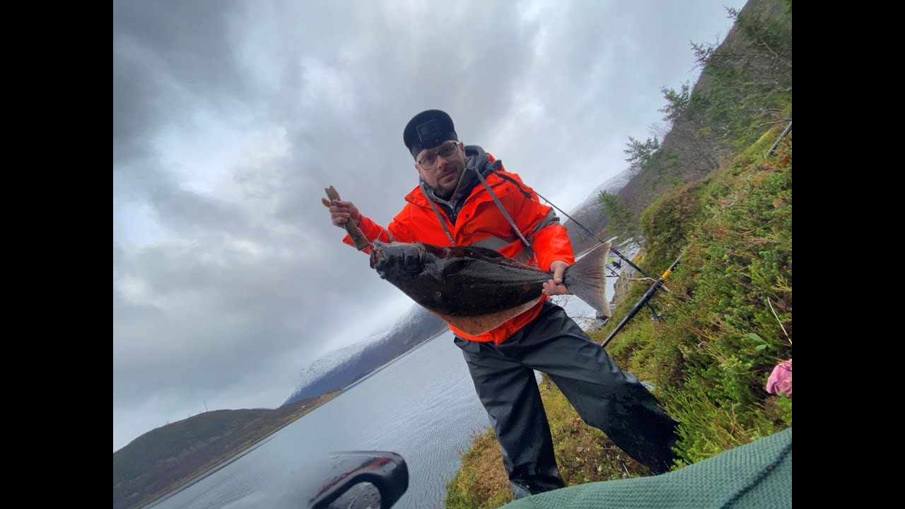 Halibut na surfcasting_Wędkarstwo Norwegia_czarniak na przynętę_niezliczona ilość ryb