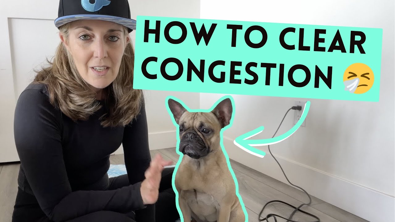 What I Use for Congestion When Mila Has Allergies or Cold