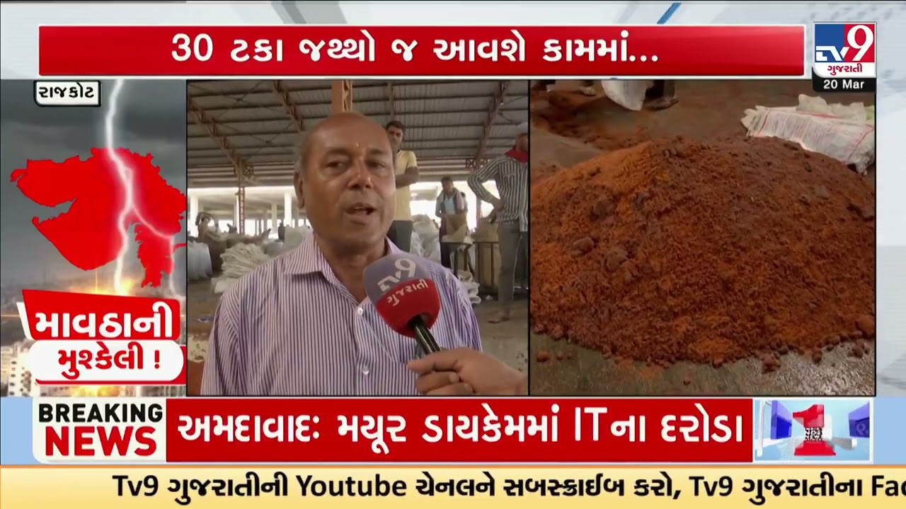 Farmers and traders hit hard as Castor produce gets destroyed in rain | Rajkot | Unseasonal Rain