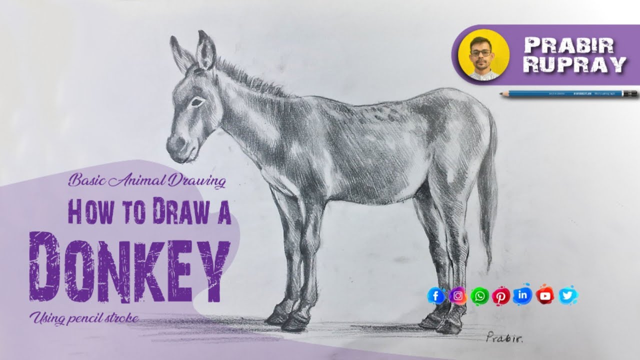 How to draw Donkey | Pencil Drawing Tutorial by Prabir Rupray | 