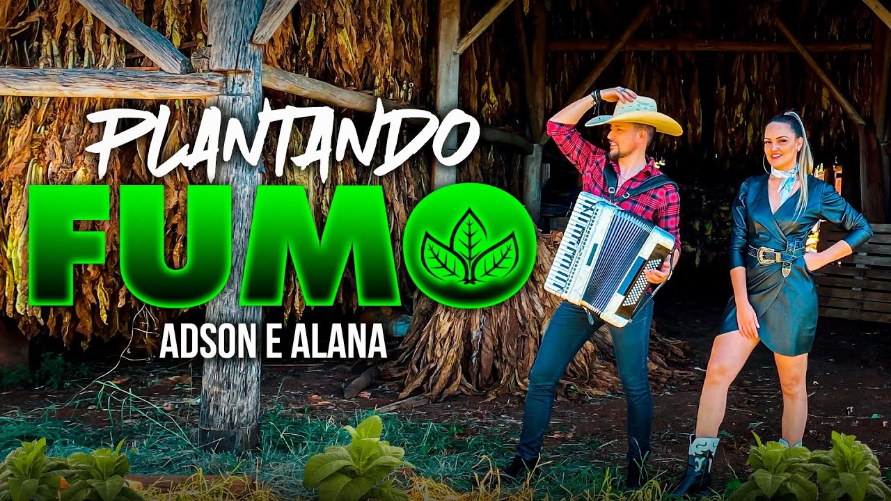 PLANTANDO FUMO - ADSON & ALANA ( clipe oficial 2025 ) lançamento agro fumicultura