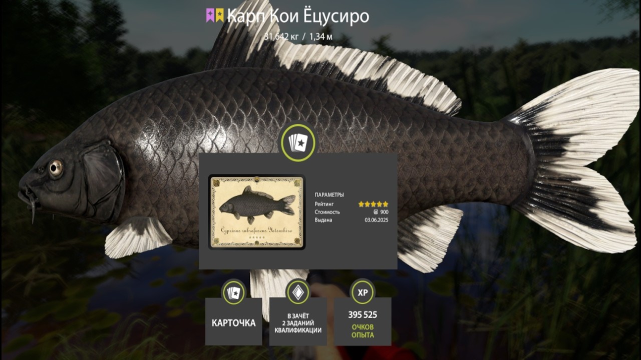 ПРОВЕРКА ФАРМА СЕРЕБРА и КОИ после СБРОСА на МЕДНОМ,ТРОЛЛИНГ на МОРЕ и ЗАДАНИЯ РУССКАЯ РЫБАЛКА 4 РР4