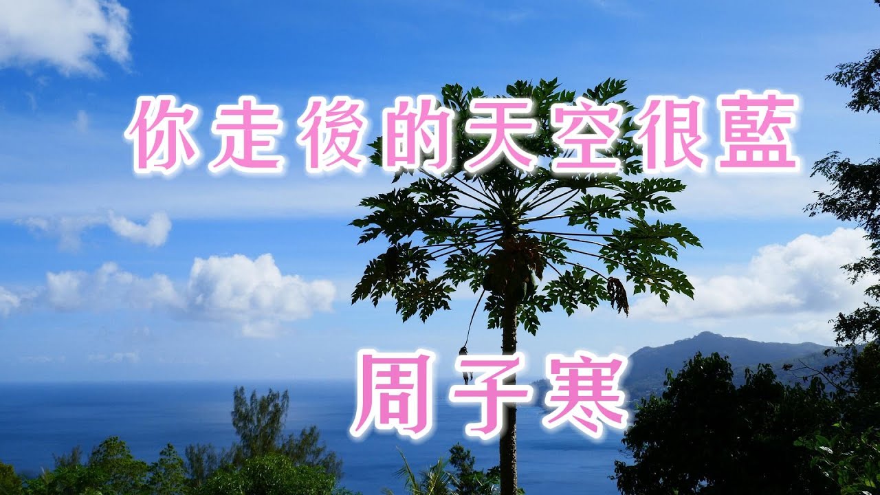 周子寒-你走後的天空很藍『 我看起來是不是有點緊張我笑起來是不是有點勉強我是好不容易才說服我自己』 #周子寒 #你走後的天空很藍 #藍與白 #等不到我愛的你【動態歌詞/Lyrics Video】