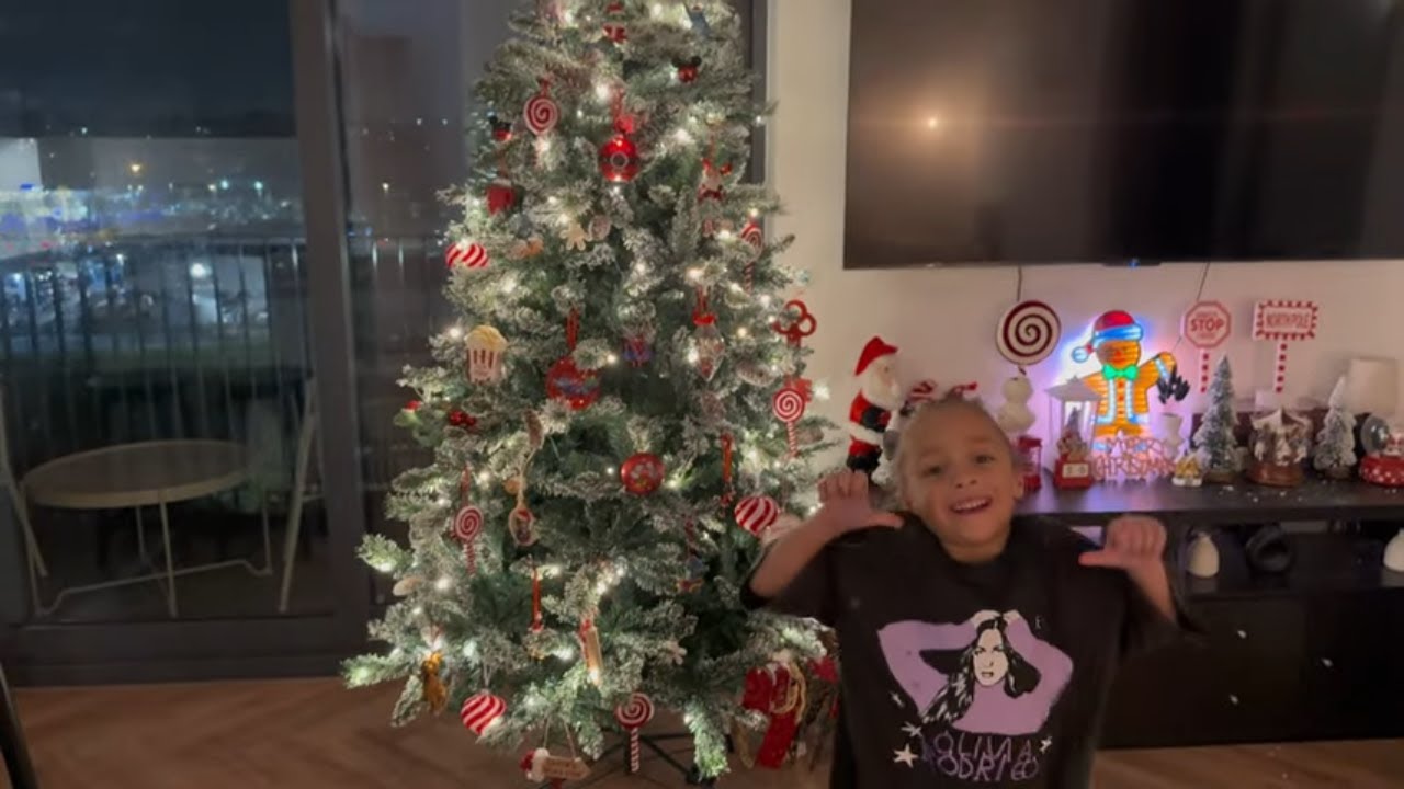Putting Up Our Christmas Tree 🎄✨