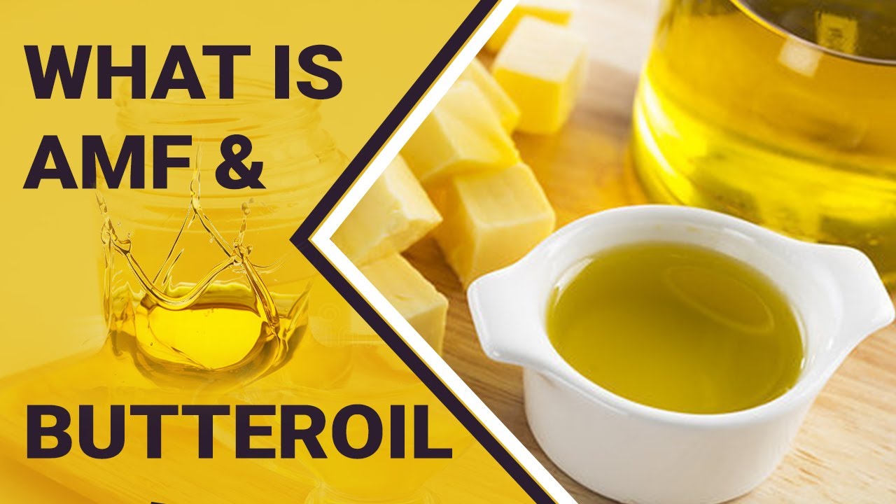 What is  AMF & Butteroil | जानिए कैसे बनता है बटर ऑयल।