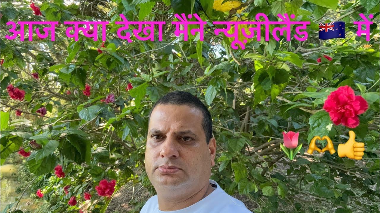 कितना सुंदर है 🇳🇿 