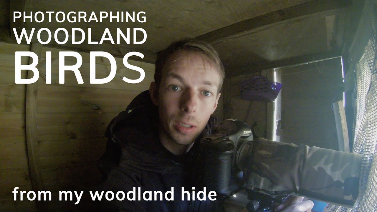 WOODLAND BIRD PHOTOGRAPHY from my hide | Nature photography with Chris Johnstone
