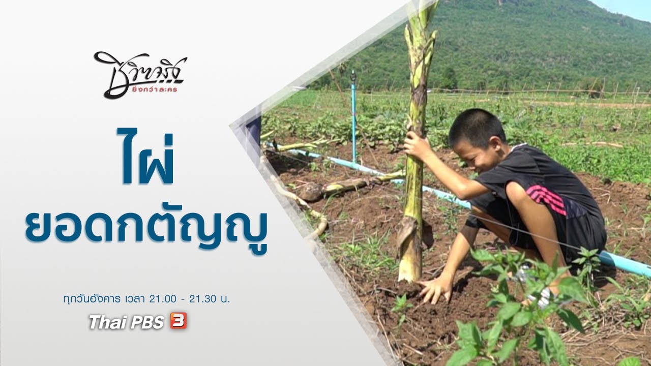 ไผ่...ยอดกตัญญู : ชีวิตจริงยิ่งกว่าละคร (29 มิ.ย. 64)