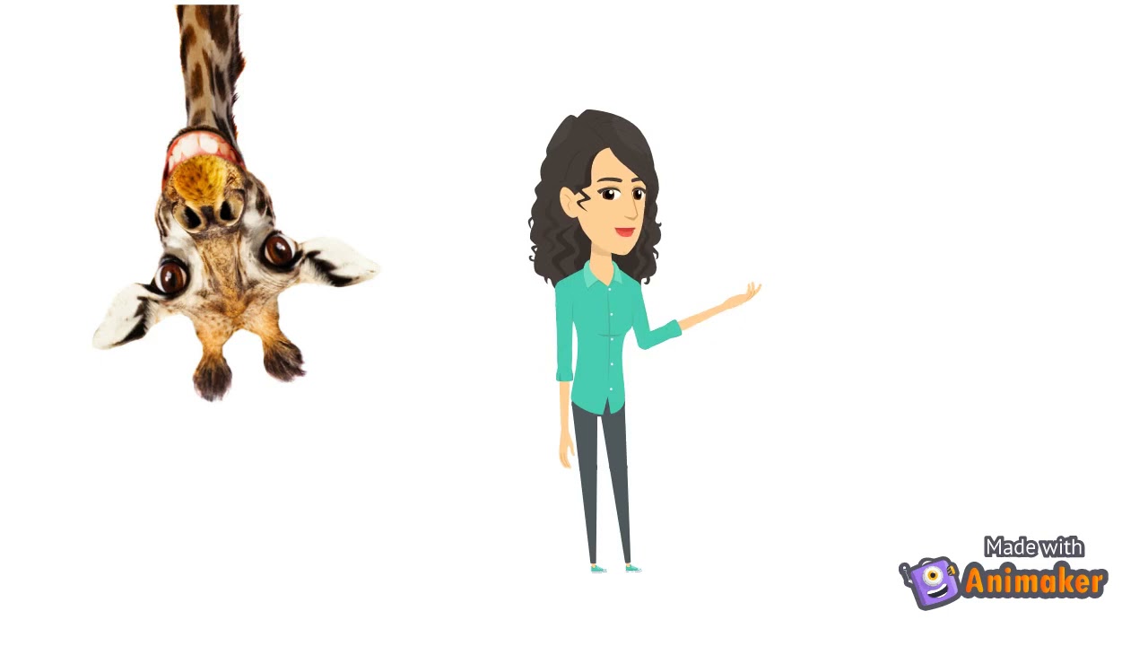 Los derechos de los animales