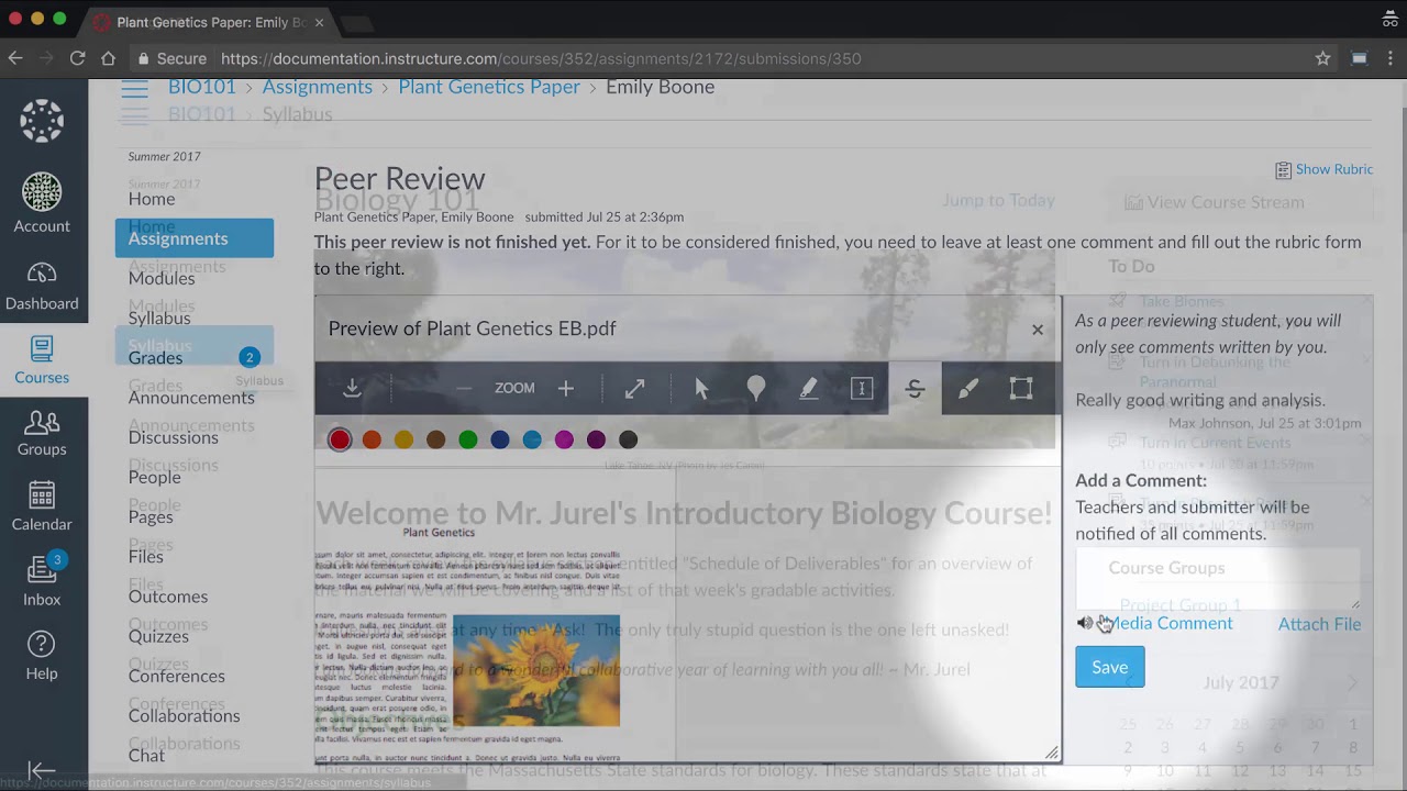 Peer Reviews   Canvas Tutorial Video Series