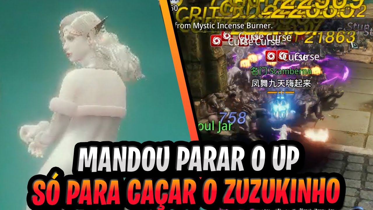 AMY MANDOU PARAR O UP, AGORA É SÓ PARA CAÇAR O ZUZUKINHO | CORTES MIR4
