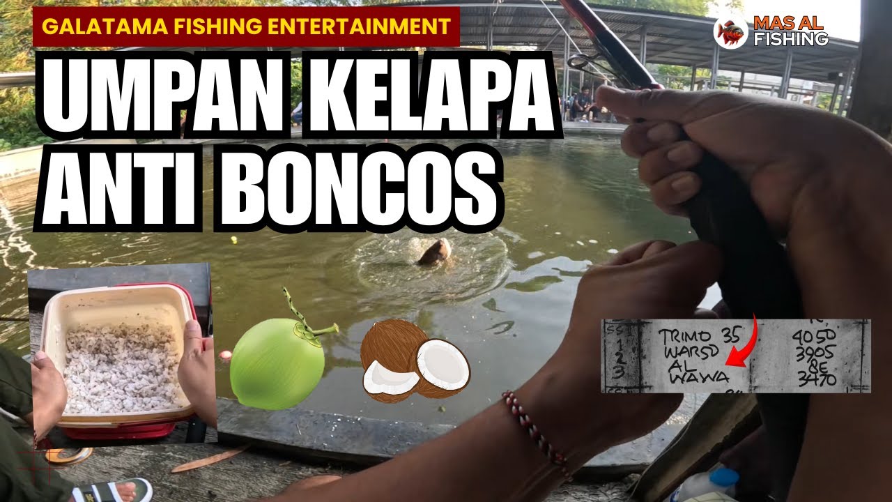 Strike Beruntun dengan Menu Umpan Kelapa Untuk Bawal