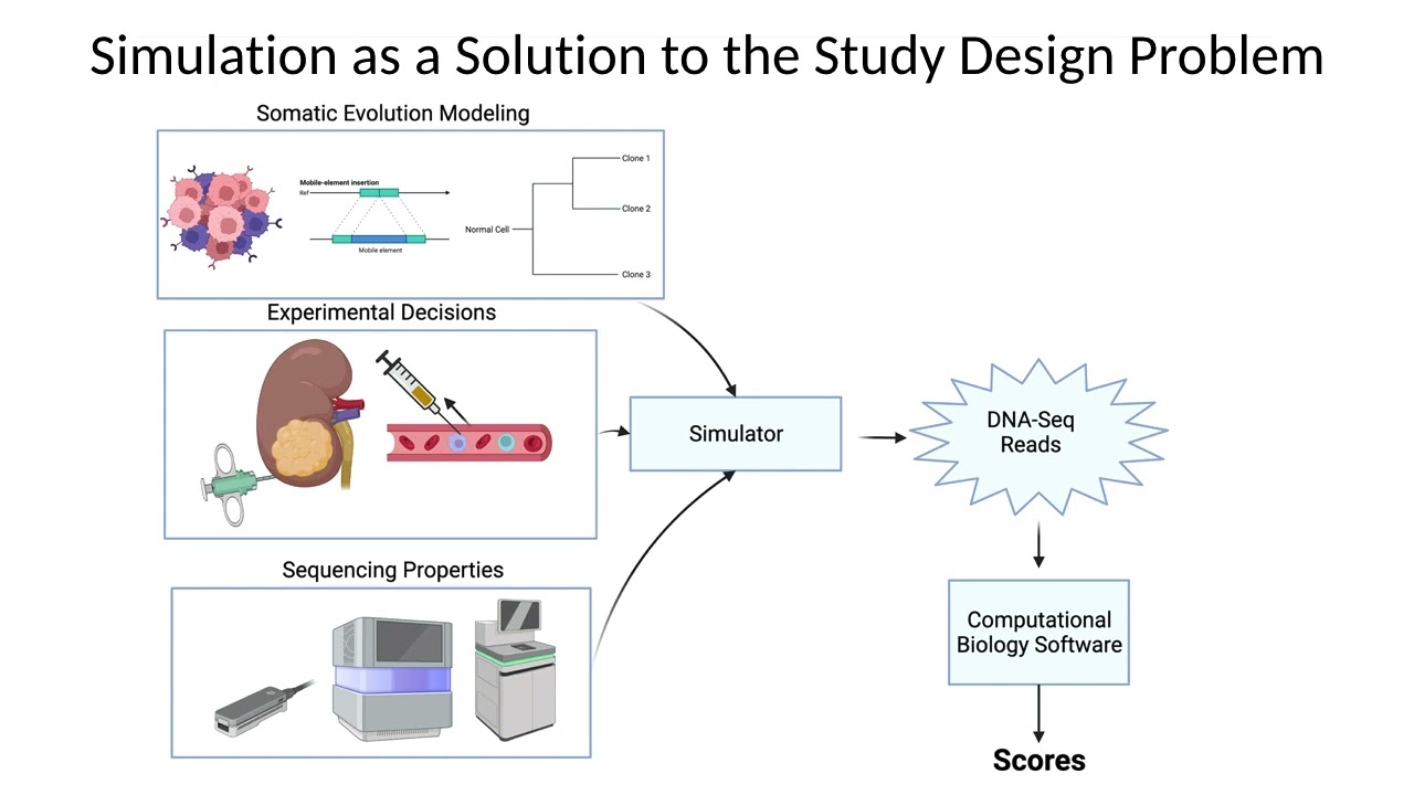 A Clonal Evolution Sequence Simulator for Planning... - Arjun Srivatsa - HiTSeq - Poster - ISMB 2022