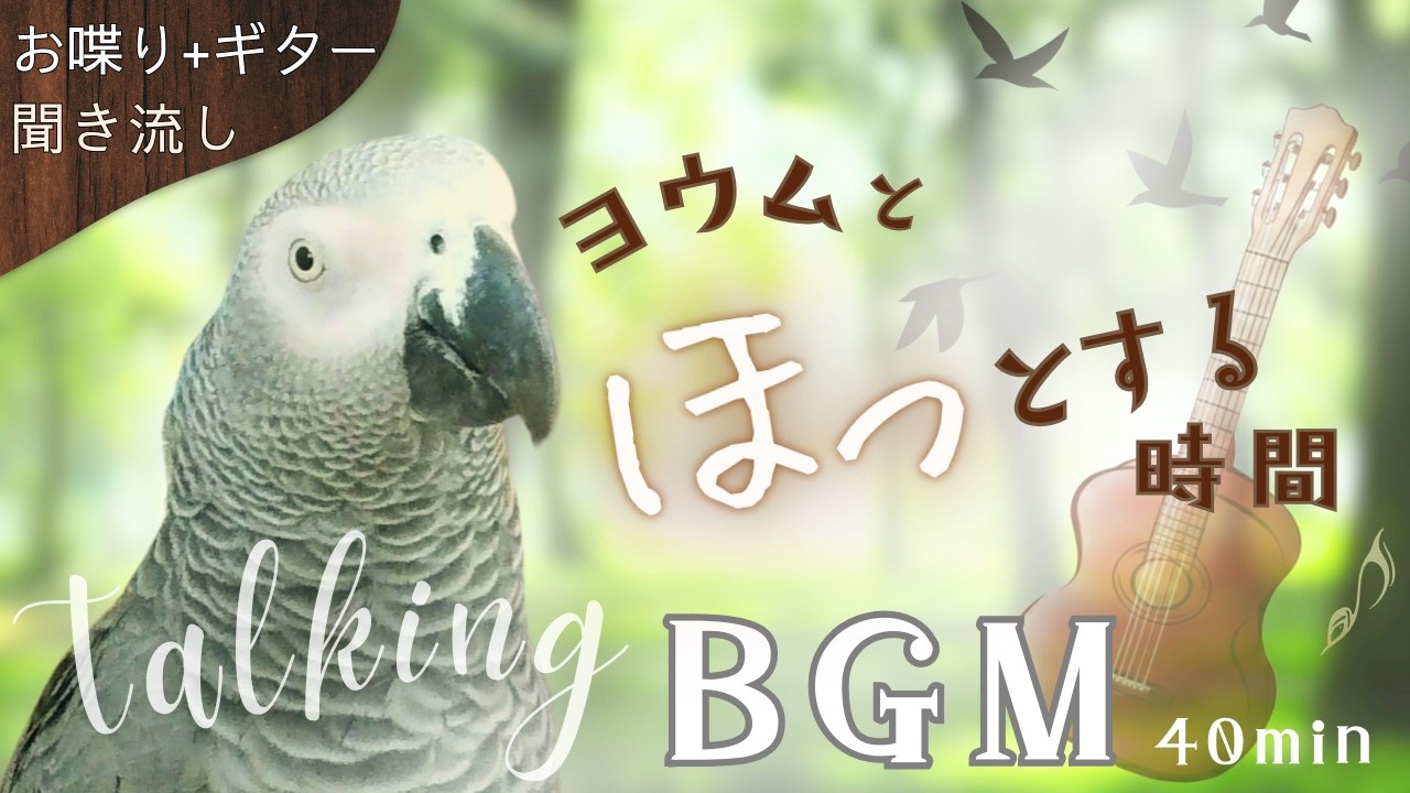 ヨウムのお喋りと小鳥のさえずり｜ギターの音色と森の癒やしBGM 40分 (Talking Parrot, Birdsong & Guitar)