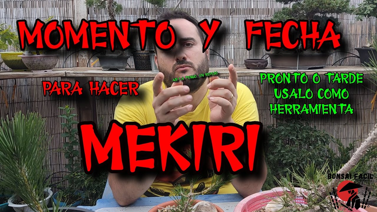 Calendario Mekiri Bonsai Facil cuando y porque?