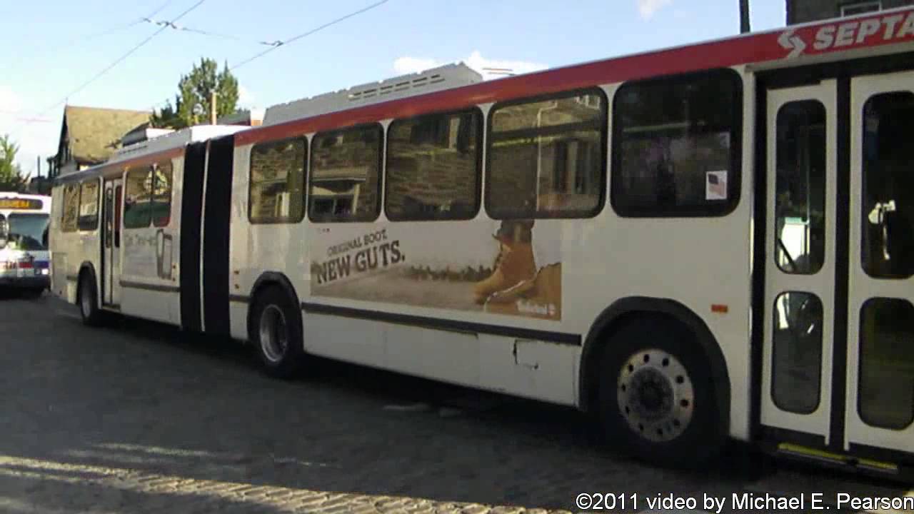 Summer Buses-Neoplan AN460 Collection