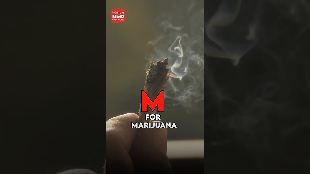 M for Mental Illness? Marijuana? Or Meditation?