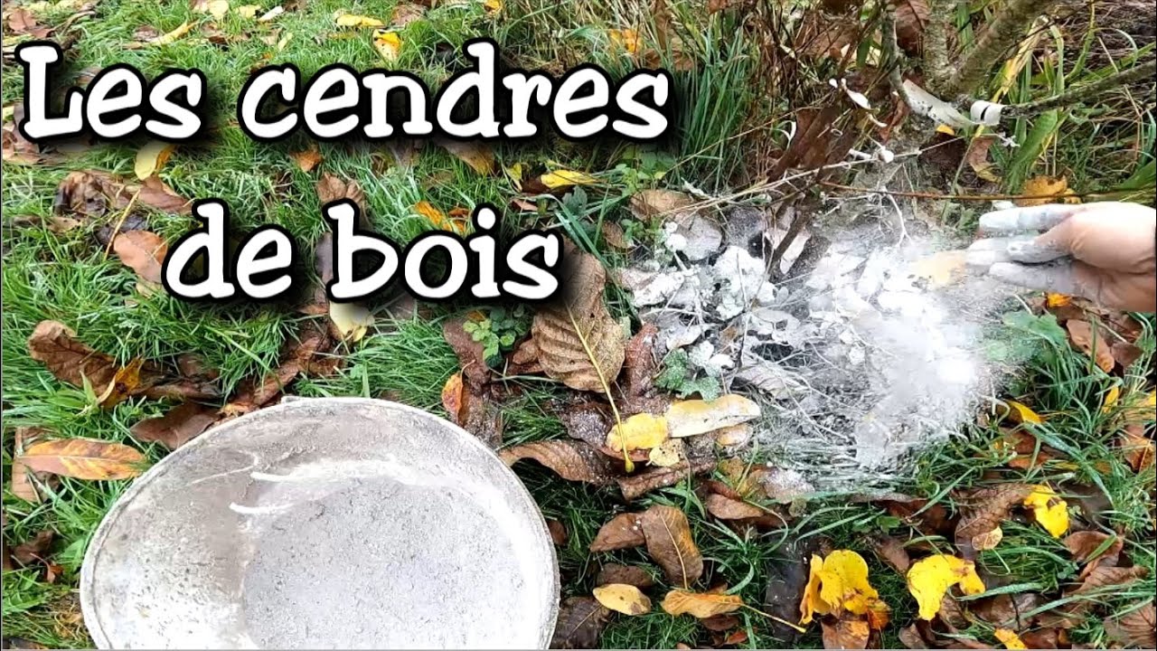 Permaculture & Jardin potager : Les Cendres de Bois (Comment les utiliser, pourquoi & quand ?)